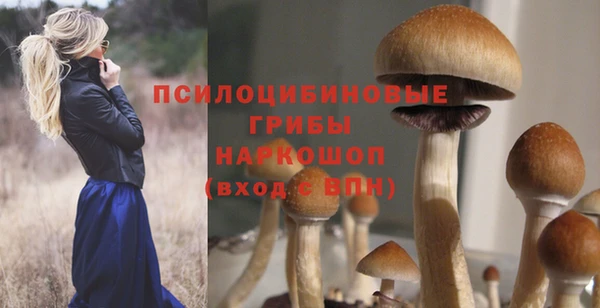 не бодяженный Арсеньев
