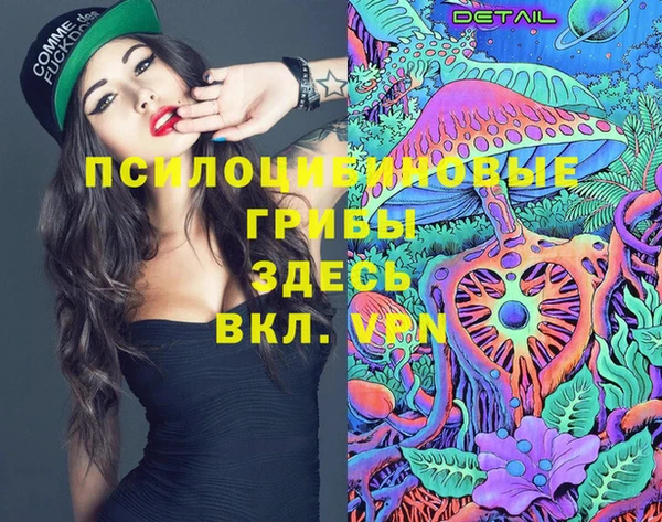 шишки Армянск