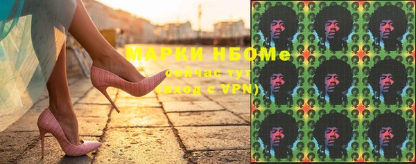 сатива Аркадак