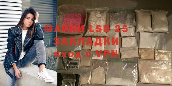 сатива Аркадак