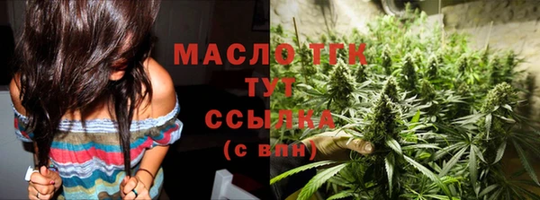 сатива Аркадак
