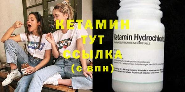 сатива Аркадак