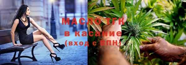 сатива Аркадак