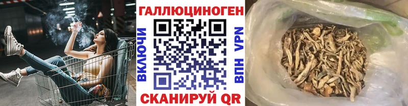 Псилоцибиновые грибы Psilocybine cubensis  закладка  ссылка на мегу ссылки  Лесосибирск 